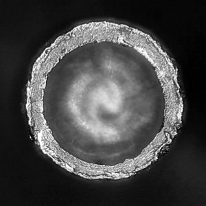 Китайский аналог Bergeon 1996